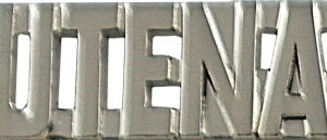 LIEUTENANT Die Struck Letters, 2 Posts & Clutch Backs, Pairs, 38 High